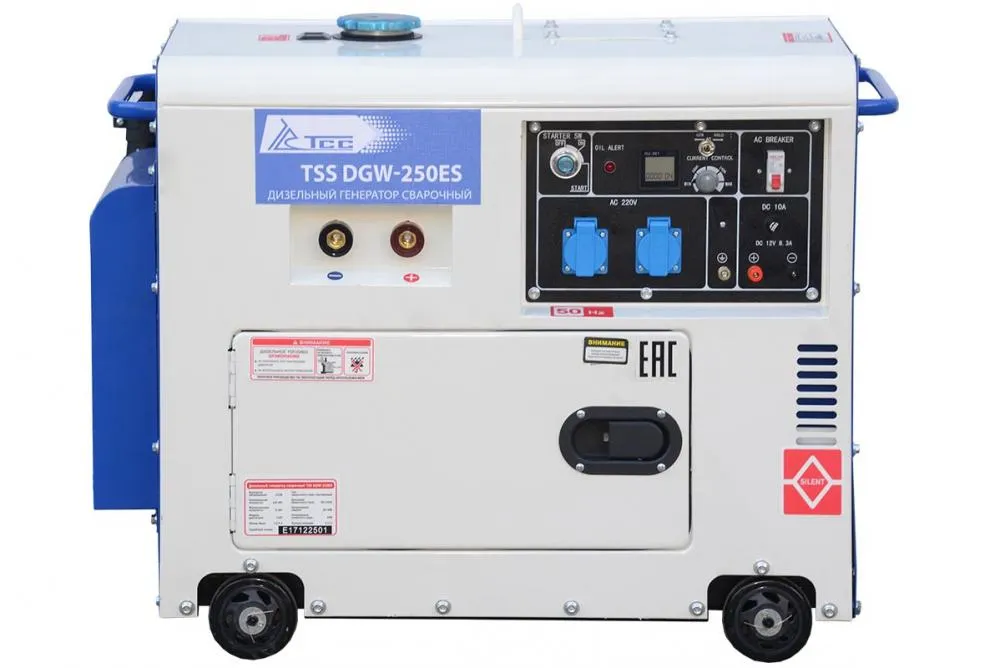 Сварочный генератор ТСС DGW-250ES