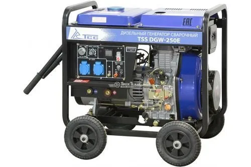 Сварочный генератор ТСС DGW-250E