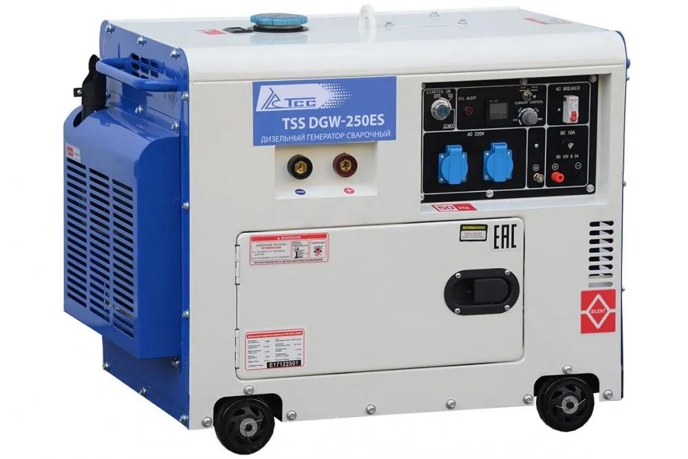 Сварочный генератор ТСС DGW-250ES