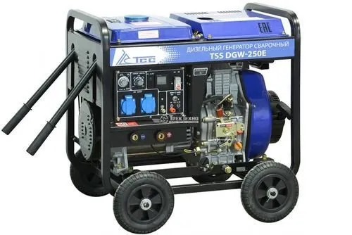 Сварочный генератор ТСС DGW-250E