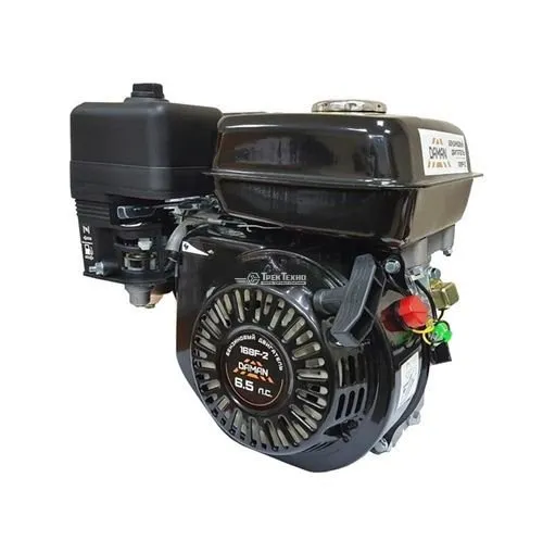Двигатель Daman-168 F-2 (DM106P19)